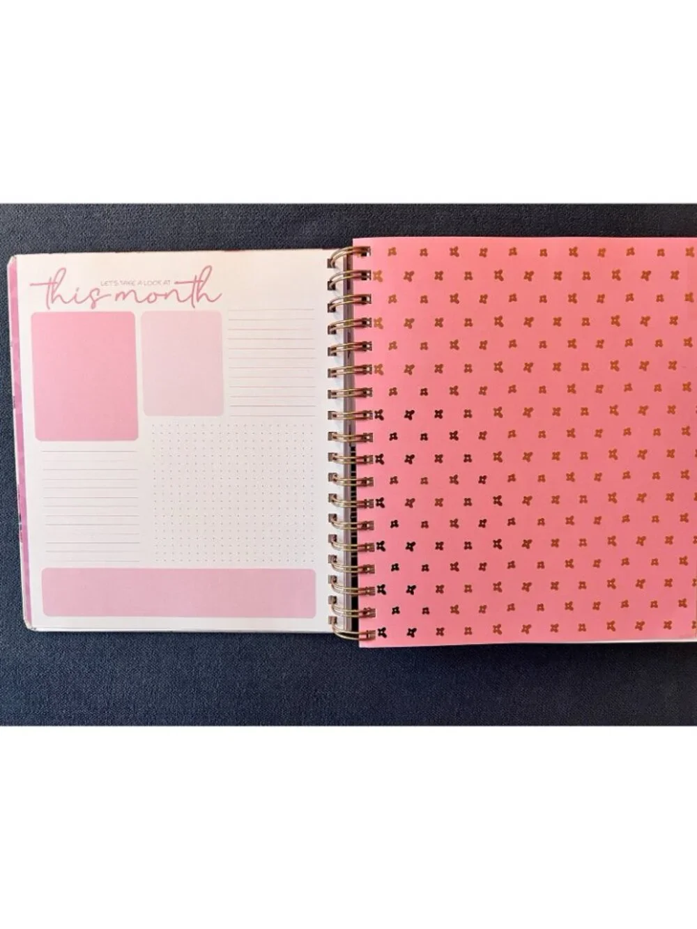 PINK COWGIRL 17 Month 2026-2027 Planner Month Day Week Organizer Planning Note